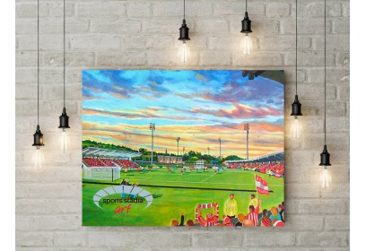 Derry City FC Brandywell Stadium Wall Art Canvas